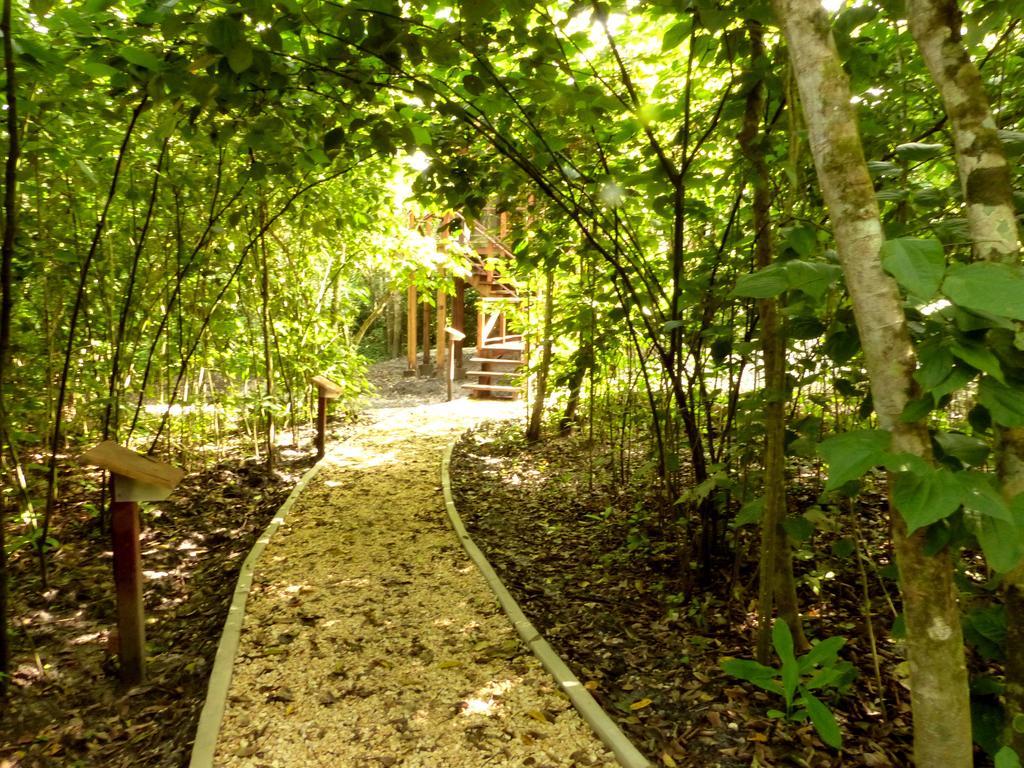 Vanilla Hills Resort Сан-Игнасио Номер фото