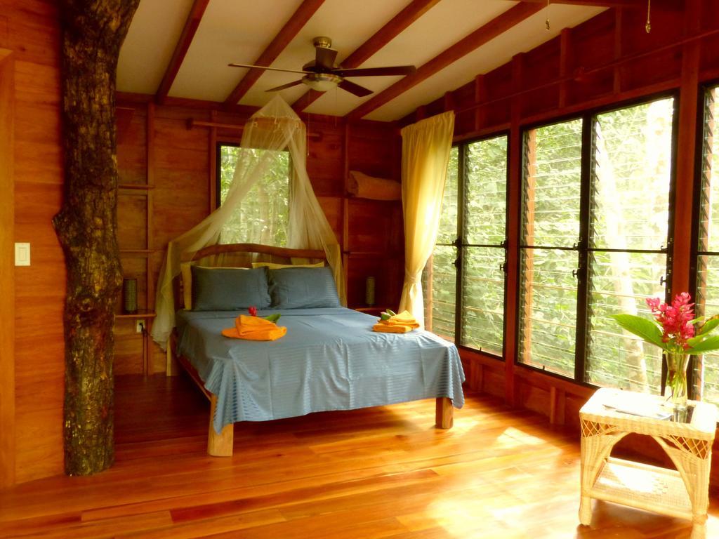 Vanilla Hills Resort Сан-Игнасио Номер фото