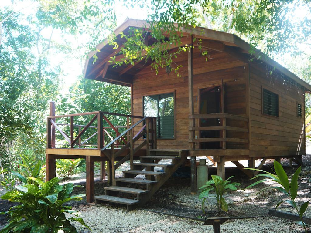 Vanilla Hills Resort Сан-Игнасио Номер фото